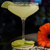 Margarita