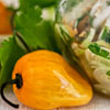 Habaneros Salpicon