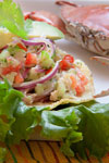 Tostada de Jaiba