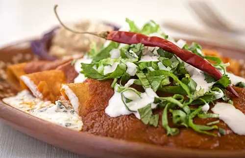 Red Enchiladas with Cottage Cheese