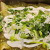 Green Enchiladas with Melted Cheese
