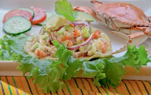 Crab Tostada